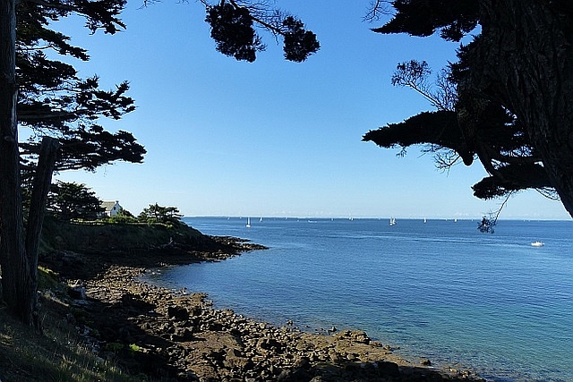 Cliff coast 